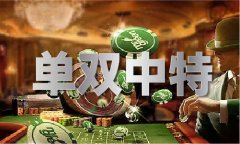 喷鼻港正牌宝典图库V6