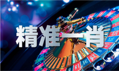 2024年精准网坐